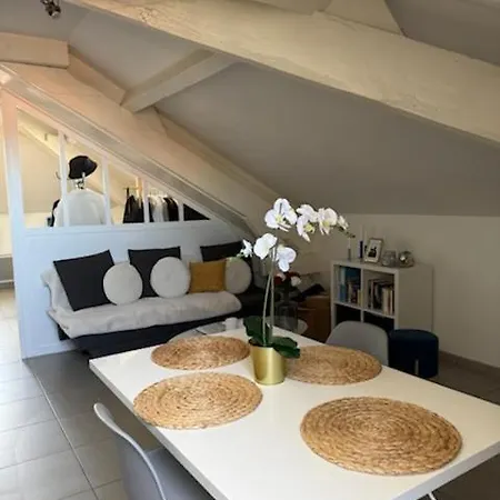 Joli T2 Au Coeur De Apartment