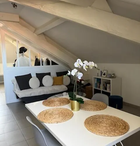 Joli T2 Au Coeur De Apartman